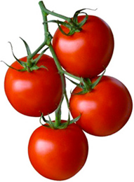 Pomodori