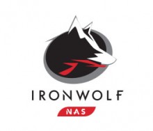 Unità disco NAS Ironwolf