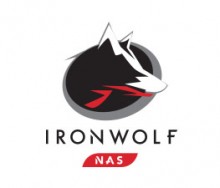 Unità disco NAS Ironwolf Unità disco NAS Ironwolf